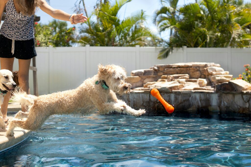 pool repair maintenace